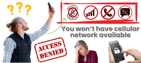 What Three Services are available with a Reported IMEI Number